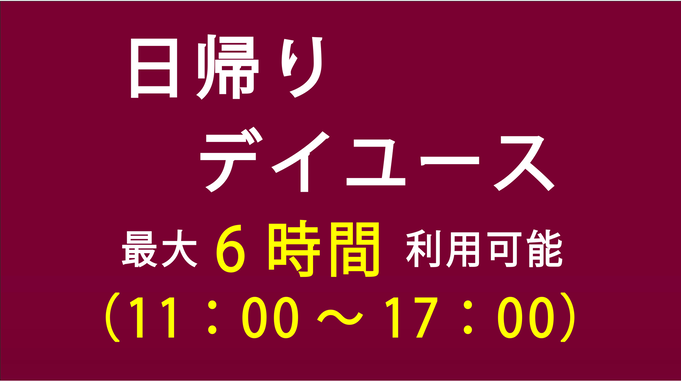 【最大6時間利用可能♪】11:00チェックイン&チェックアウト17:00まで！！★日帰りデイユース★